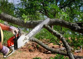 Why Choose Our Tree Removal Services in Claysburg, PA?